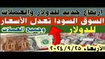 صرف الدعم النقدي لـ 4.7 مليون أسرة في أكتوبر