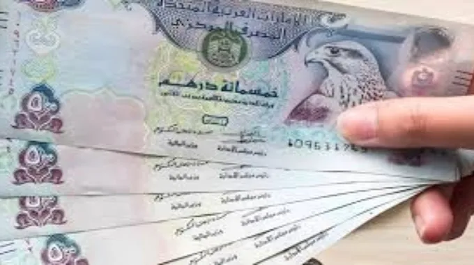 استقرار سعر الدرهم الإماراتي في مصر اليوم