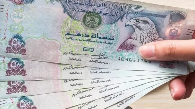 تحديثات سعر الدرهم الإماراتي مقابل الجنيه المصري