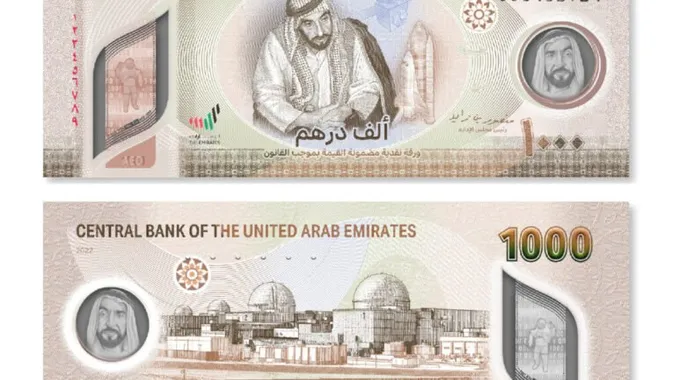 سعر الدرهم الإماراتى مقابل الجنيه المصري اليوم