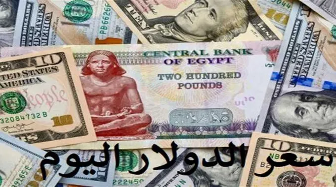 سعر الدولار مقابل الجنيه اليوم في مصر